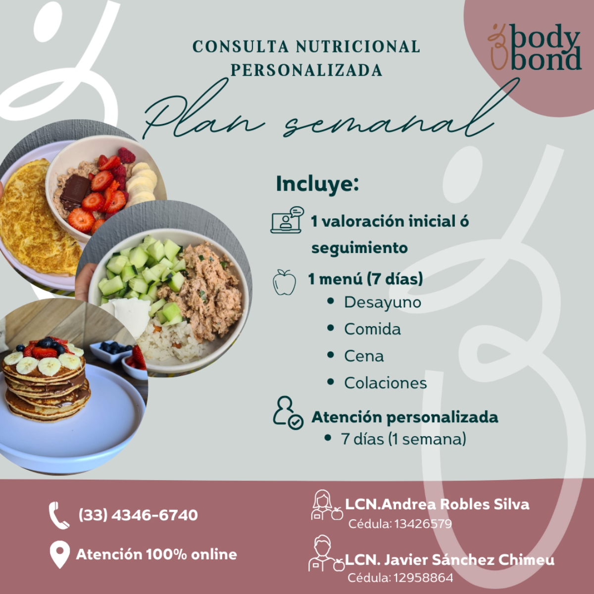 Consulta Nutricional Personalizada - Plan de Consulta Semanal